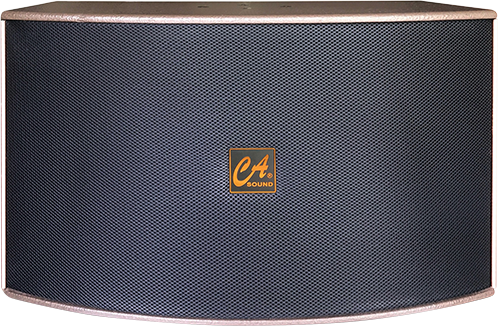 CA Loudspeaker K-312