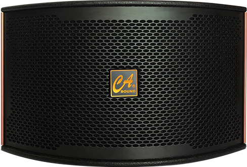 CA Loudspeaker K-310