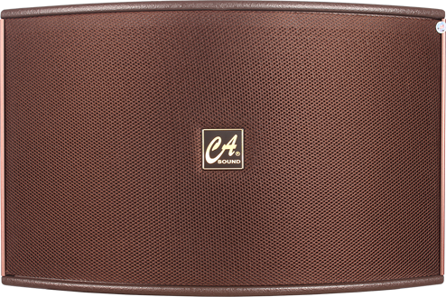 CA Loudspeaker K-312